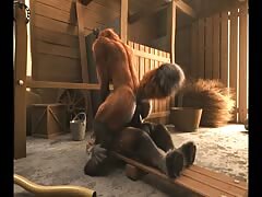 Big dick gay dog riding a huge cock of cartoon furry animal