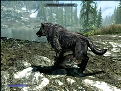 Black dog with huge cock ready to fuck girls in animal porno